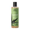 Urtekram šampon Aloe vera suché vlasy (varianta 250ml)