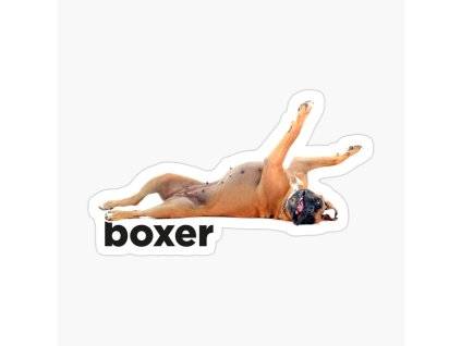 work 106813421 sticker