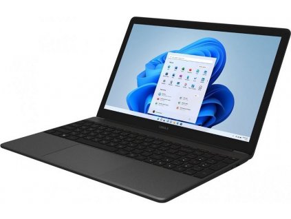 UMAX notebook VisionBook N15R/ 15,6" IPS/ 1920x1080/ N4020/ 4GB/ 128GB eMMC/ mini HDMI/ USB/ USB 3.0/ W11 Pro/ šedý