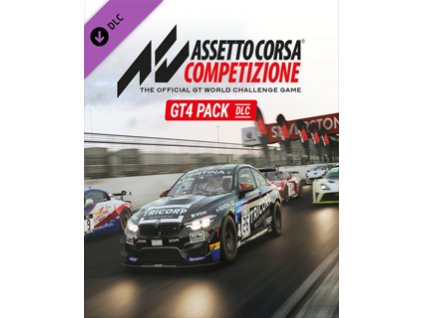 ESD Assetto Corsa Competizione GT4 Pack