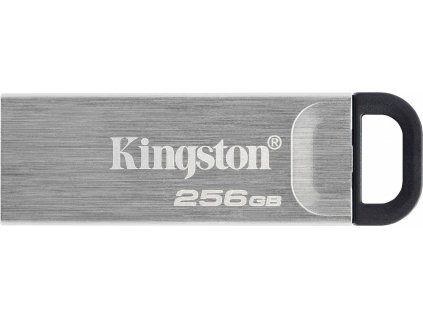 Kingston DataTraveler Kyson/256GB/USB 3.2/USB-A/Stříbrná