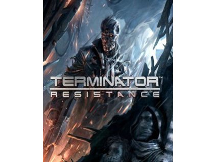 ESD Terminator Resistance