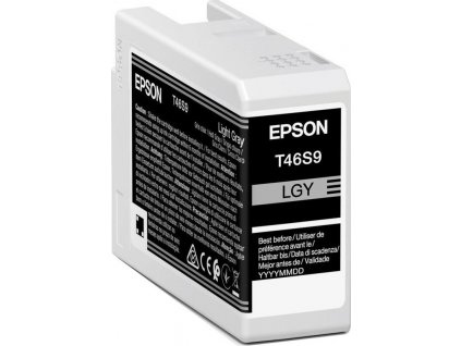 Epson inkoustová nápln Singlepack UltraChrome/ C13T46S900/ Light Gray