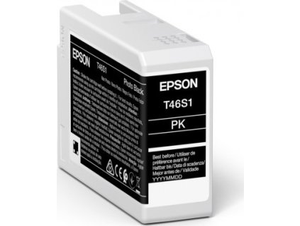 Epson Singlepack Black T46S1 UltraChrome Pro Zink
