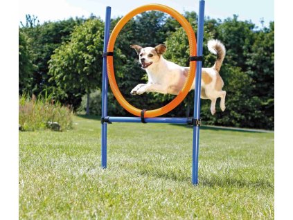 AGILITY kruh proskakovací