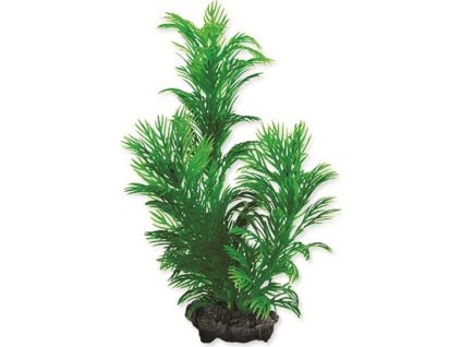 Rostlina Green Cabomba S 15cm