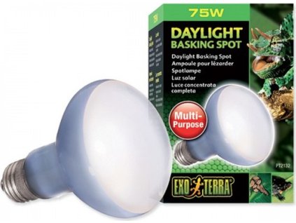 Žárovka Daylight Basking Spot 75W