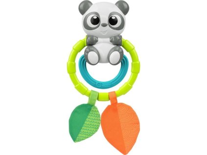 165902 PANDA CHRADLIČKA A TEENER