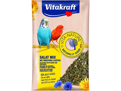 Salat Mix 10g /25