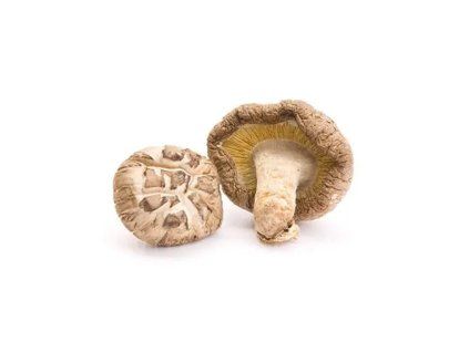 shiitake 2.1646628311