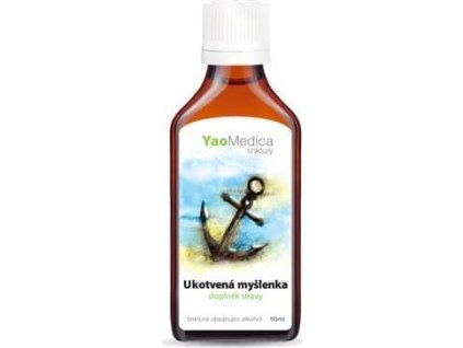 042 - Ukotvená myšlenka