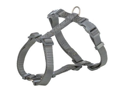 456cd7a7506a24728a5e58d52a879719