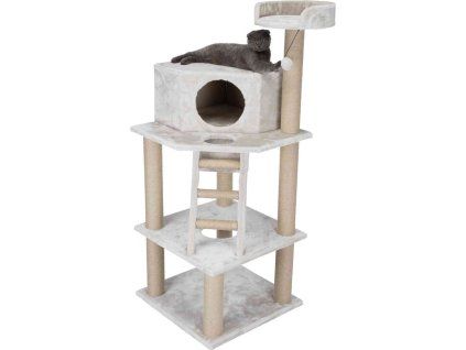 09cc0d4ae3f01d179fc3187035461518