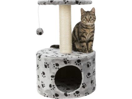 1e6d92609725ebcd0226f9b695b79a06