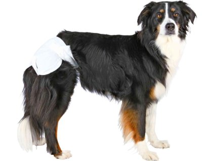 Papírové pleny pro feny (12 ks/bal.)