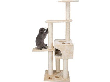 c83736617fa6bd41aa565353d23d5559