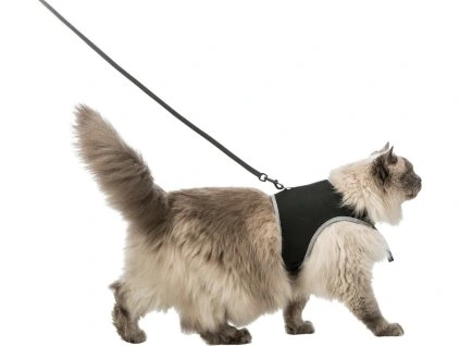 c2990d6aa392d29b682a4c81a4c2bd53