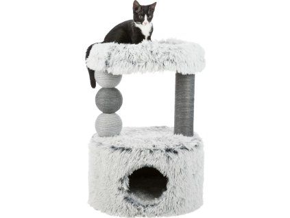 17c0125b16293ef2bc3b81dcb2741836