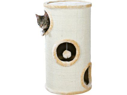 a5f098a722113864a6eb1a4218173cf5