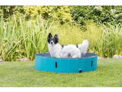 Bazén pro psy, světle modrá/modrá
