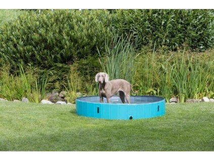 Bazén pro psy, tyrkysová/šedá