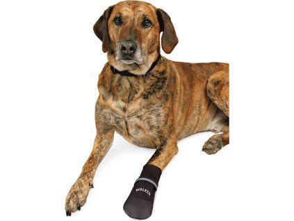 8cc14a59d39949e201c3ea58755d968d