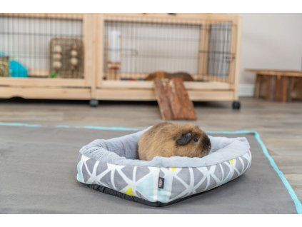 6809fe3466f798a86e2da926918e2db6