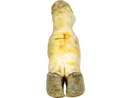 Hovězí noha bílá - 1 ks