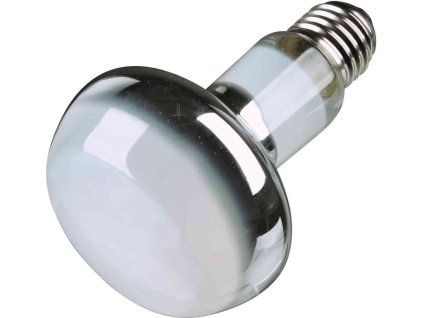 Basking Spot-Lamp (RP 2,10 Kč)