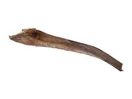 Papah wood - palmový list 50-65 cm pro plazy na lezení (6ks)