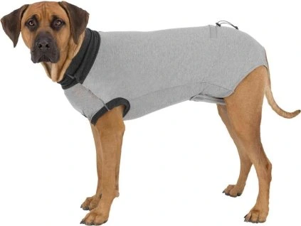 aa5a47078e88edd6a940051876cb7a52