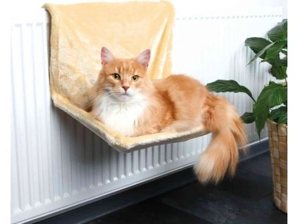 a80c0d3bfb6bb60f04f29167ec984da0