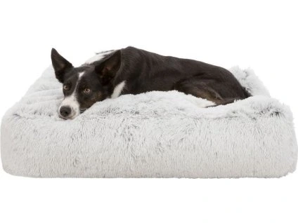 1898d4d337883e6ad95ad31b2eceb1c3