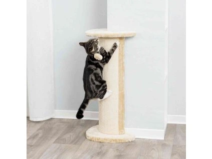 142be5d2ac6c6538fdff3be6667d811e