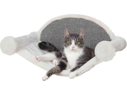 77c54e192f944a2593adbc05ec6cfffd