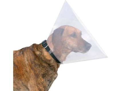 faf723fe19e32c2e147cb7b447d65ce6