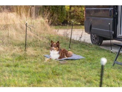 3cfaff7c44e82e656ba62080ef768bbd