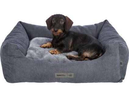 55c52afcb4744152eea663bedf4dc28c