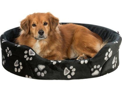 4e19d98c89162b1e9395ffb4e0bd884d