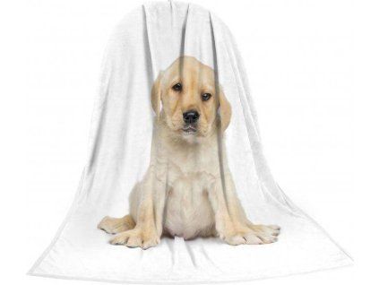 e7e252fcd070077ffbbd129f8eb40eff