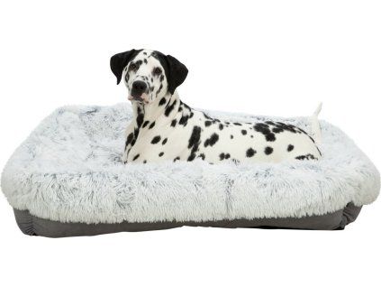 b19536cc76eb6ec9be2622a881389996