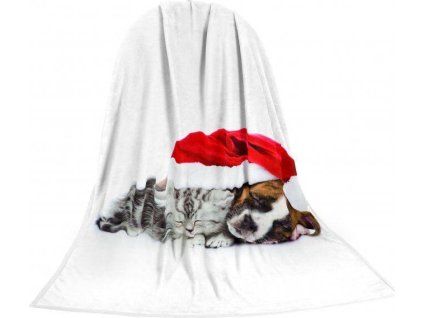 aeead1881699f0fa116f3be65fe3112f