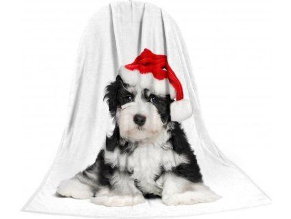 41e0fa6cd2992d745d2a41943da839b8