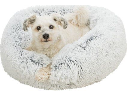 1e11a1193707bf20a0cfab445a182fd3