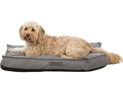 81d20cbff4beb68614e1c2c792343031