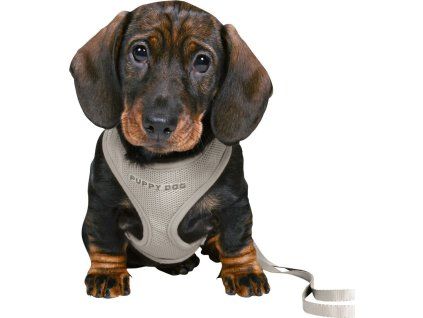 294e4669832cc48f1b8c964344572fa9