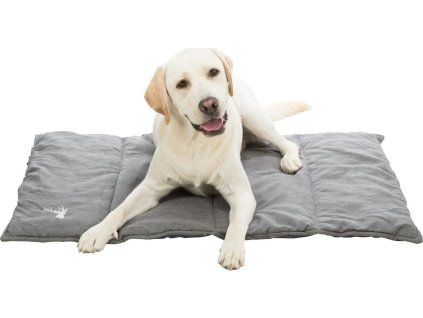 027bf2736f0d2258e96fe99e9d626706