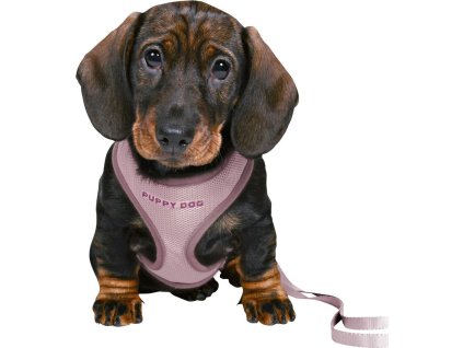 JUNIOR SOFT postroj s vodítkem pro štěňata, šeříková