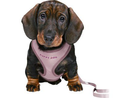 08336560816bd9c488448b35904613f7