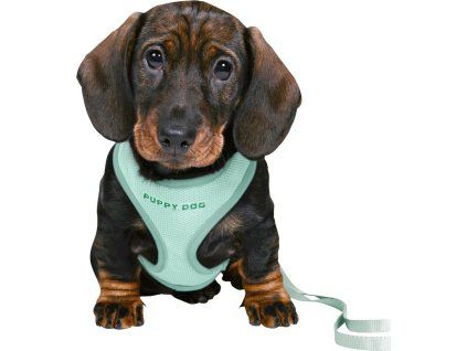 6f901837b908bc801bbdc13c08b9fc3b